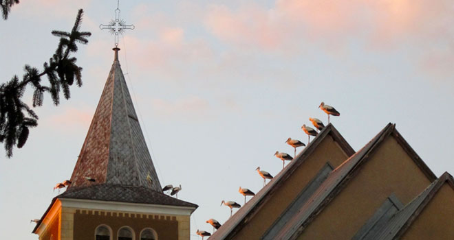 VTEM Banners