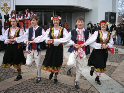банатска жилка 1