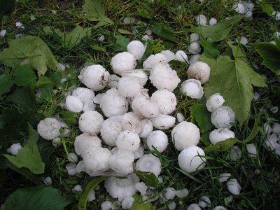 градушката 1 градушката 1